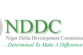 NDDC POSTGRADUATE SCHOLARSHIP 2017